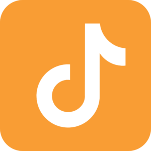 TikTok Logo Icon